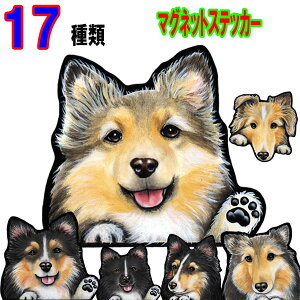  XebJ[  킢    I[_[ Ch STCY  X[cP[X   VFeB VFbhhV[v ObY }Olbg Ԃɓ\ ObY G 