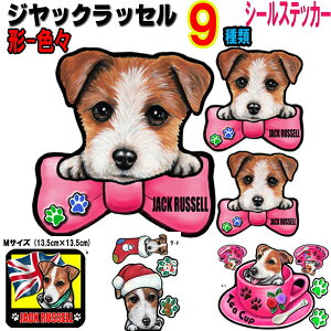 1000~|bL   XebJ[  킢   WbNbZeA ObY G V[ Ԃɓ\  I[_[ Ch STCY  X[cP[X  