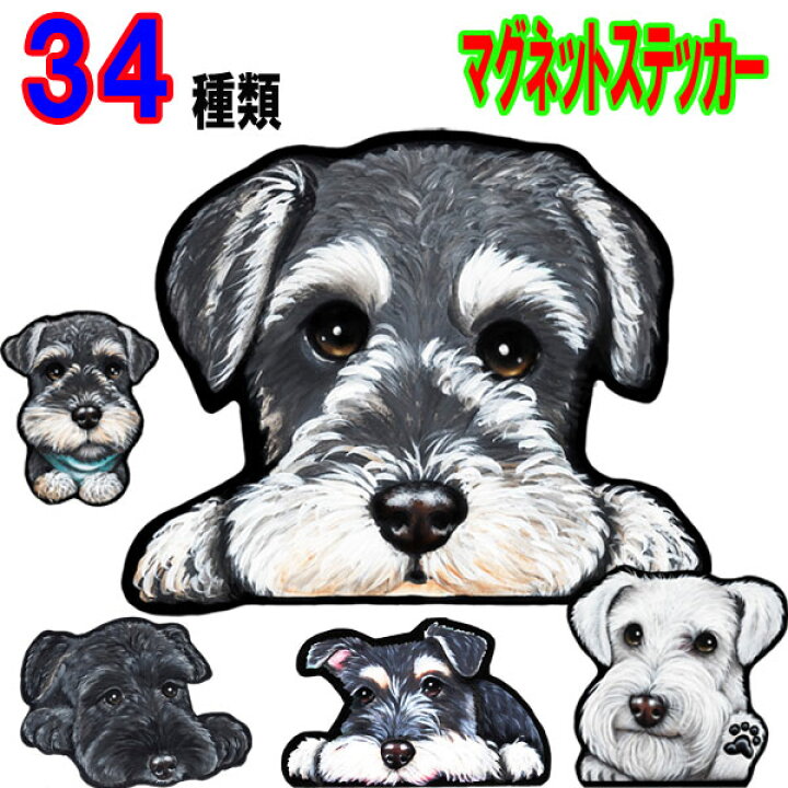 楽天市場 犬 ステッカー マグネット シュナウザー 柄 ミニチュアシュナウザー グッズ 雑貨 車に貼る シュナウザー グッズ 雑貨 犬 ステッカー 肉球 シュナウザー 犬のステッカー かわいい 車ステッカー 可愛い ドッグ 犬ステッカー メール便 車お中元 ギフト 楽天市場 犬 ステッカー マグネット シュナウザー 柄 ミニチュアシュナウザー グッズ 雑貨 車に貼る シュナウザー グッズ 雑貨 犬 ステッカー 肉球 シュナウザー 犬のステッカー かわいい 車ステッカー 可愛い ドッグ 犬ステッカー メール便 車お中元 ギフト