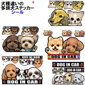  XebJ[  _bNX ` V[  G ObY DOG IN CAR ybg DOGINCAR IWi nhCh   ԗpXebJ[ G  av[g|Cg nE