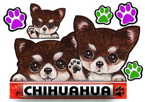  XebJ[ ` 21 ObY G V[ Ԃɓ\  ̃XebJ[ I[_[ IWi ԃXebJ[ ԗp hbO XebJ[ `XebJ[   2C 2 cCXeb