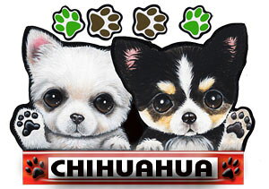  XebJ[ ` 24 ObY G V[ Ԃɓ\  ̃XebJ[ I[_[ IWi ԃXebJ[ ԗp hbO XebJ[ `XebJ[   2C 2 cCXeb