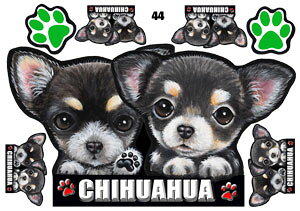  XebJ[ ` 44 ObY G V[ Ԃɓ\  ̃XebJ[ I[_[ IWi ԃXebJ[ ԗp hbO XebJ[ `XebJ[   2C 2 cCXeb