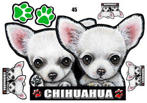  XebJ[ ` 45 ObY G V[ Ԃɓ\  ̃XebJ[ I[_[ IWi ԃXebJ[ ԗp hbO XebJ[ `XebJ[   2C 2 cCXeb