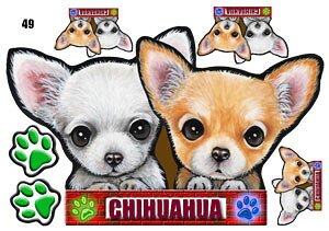  XebJ[ ` 49 ObY G V[ Ԃɓ\  ̃XebJ[ I[_[ IWi ԃXebJ[ ԗp hbO XebJ[ `XebJ[   2C 2 cCXeb