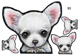  XebJ[ ` 53 ObY G V[ Ԃɓ\  ̃XebJ[ I[_[ IWi ԃXebJ[ ԗp hbO XebJ[ `XebJ[   2C 2 cCXeb