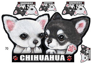  XebJ[ ` 70 ObY G V[ Ԃɓ\  ̃XebJ[ I[_[ IWi ԃXebJ[ ԗp hbO XebJ[ `XebJ[   2C 2 cCXeb