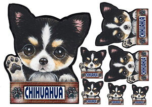  XebJ[ ` 7 ObY G V[ Ԃɓ\  ̃XebJ[ I[_[ 킢 ԃXebJ[ ԗp hbO XebJ[ `XebJ[   2C 2 cCXebJ