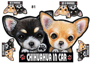  XebJ[ ` 81 ObY G V[ Ԃɓ\  ̃XebJ[ I[_[ IWi ԃXebJ[ ԗp hbO XebJ[ `XebJ[   2C 2 cCXeb