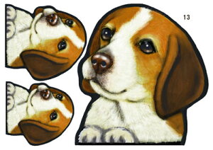  XebJ[ r[O 13 ObY G V[ Ԃɓ\  XebJ[  ̃XebJ[ J[XebJ[ r[O ObY G ԃXebJ[ ԗp  hbO XebJ[  a