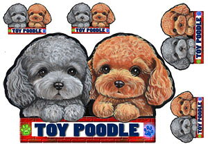  XebJ[ gCv[h 105 ObY G V[ Ԃɓ\  ̃XebJ[ v[h I[_[ ԃXebJ[ J[ dog hbO XebJ[ gCv[hXebJ[  2C 2 cC