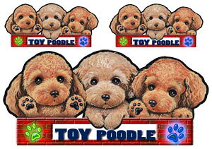  XebJ[ gCv[h 109 ObY G V[ Ԃɓ\  ̃XebJ[ v[h I[_[ ԃXebJ[ J[ dog hbO XebJ[ gCv[hXebJ[  2C 2 cC