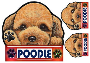  XebJ[ gCv[h 19 ObY G V[ Ԃɓ\  ̃XebJ[ v[h I[_[ ԃXebJ[ J[ dog hbO XebJ[ gCv[hXebJ[  2C 2 cCX