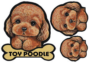  XebJ[ gCv[h 24 ObY G V[ Ԃɓ\  ̃XebJ[ v[h I[_[ ԃXebJ[ J[ dog hbO XebJ[ gCv[hXebJ[  2C 2 cCX