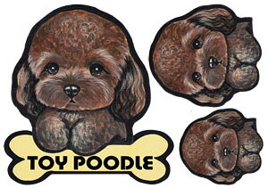  XebJ[ gCv[h 25 ObY G V[ Ԃɓ\  ̃XebJ[ v[h I[_[ ԃXebJ[ J[ dog hbO XebJ[ gCv[hXebJ[  2C 2 cCX