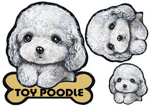  XebJ[ gCv[h 48 ObY G V[ Ԃɓ\  ̃XebJ[ v[h I[_[ ԃXebJ[ J[ dog hbO XebJ[ gCv[hXebJ[  2C 2 cCX