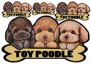  XebJ[ gCv[h 49 ObY G V[ Ԃɓ\  ̃XebJ[ v[h I[_[ ԃXebJ[ J[ dog hbO XebJ[ gCv[hXebJ[  2C 2 cCX