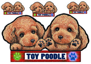  XebJ[ gCv[h 55 ObY G V[ Ԃɓ\  ̃XebJ[ v[h I[_[ ԃXebJ[ J[ dog hbO XebJ[ gCv[hXebJ[  2C 2 cCX