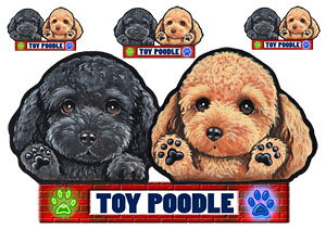  XebJ[ gCv[h 56 ObY G V[ Ԃɓ\  ̃XebJ[ v[h I[_[ ԃXebJ[ J[ dog hbO XebJ[ gCv[hXebJ[  2C 2 cCX