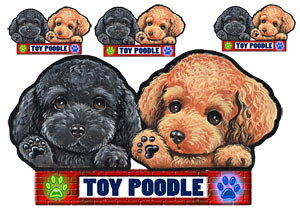  XebJ[ gCv[h 57 ObY G V[ Ԃɓ\  ̃XebJ[ v[h I[_[ ԃXebJ[ J[ dog hbO XebJ[ gCv[hXebJ[  2C 2 cCX