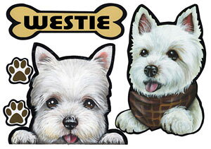 }Olbg  XebJ[ EFXeB 8 EGXgnCh zCgeA ObY G Ԃɓ\  XebJ[  ̃XebJ[ EGXeB ObY G ԃXebJ[ J[ hbO 