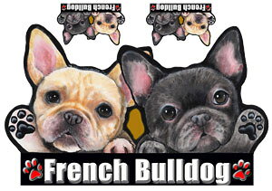  XebJ[ t`uhbO 11 G ObY V[ Ԃɓ\  XebJ[ ̃XebJ[ t`uhbO G  t` uhbO  I[_[ ԃXebJ[ ԗp J[ 