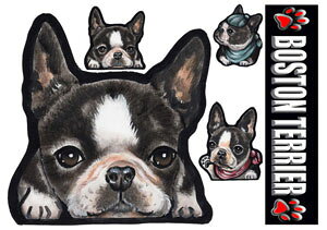  XebJ[ {XgeA ObY 2 G V[ Ԃɓ\  XebJ[ ̃XebJ[{XgeA ObY G I[_[ {XgEeA ԃXebJ[ ԗp J[ hbO Xe