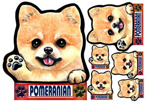  XebJ[ V[ |jA 17 ObY G  XebJ[   \ |jA XebJ[ |jA Ԃɓ\  XebJ[|jAObY ԗpXebJ[ |j