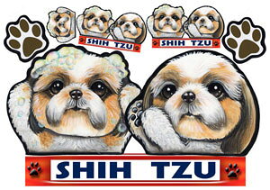  XebJ[ V[Y[ 24 ObY G V[ Ԃɓ\  XebJ[  ̃XebJ[ V[Y[ XebJ[ ԃXebJ[ hbO XebJ[  ԗp ybg IWi XebJ[ 