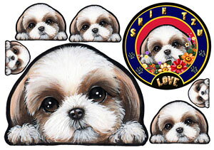  XebJ[ V[Y[ 55 ObY G V[ Ԃɓ\  XebJ[  ̃XebJ[ V[Y[ XebJ[ ԃXebJ[ hbO XebJ[  ԗp ybg IWi XebJ[ 