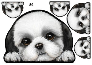  XebJ[ V[Y[ 89 ObY G V[ Ԃɓ\  XebJ[  ̃XebJ[ V[Y[ XebJ[ ԃXebJ[ hbO XebJ[  ԗp ybg IWi XebJ[ 