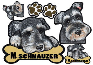 ViEU[ 22  XebJ[ ViEU[  ObY G V[ Ԃɓ\  XebJ[ ̃XebJ[ ~j`AViEU[ ԃXebJ[  XebJ[ ViEU[ G 