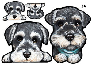 ViEU[ 24  XebJ[ ViEU[  ObY G V[ Ԃɓ\  XebJ[ ̃XebJ[ ~j`AViEU[ ԃXebJ[  XebJ[ ViEU[ G 