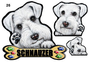 ViEU[ 26  XebJ[ ViEU[  ObY G V[ Ԃɓ\  XebJ[ ̃XebJ[ ~j`AViEU[ ԃXebJ[  XebJ[ ViEU[ G 