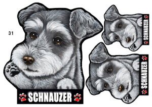 ViEU[ 31  XebJ[ ViEU[  ObY G V[ Ԃɓ\  XebJ[ ̃XebJ[ ~j`AViEU[ ԃXebJ[  XebJ[ ViEU[ G 