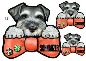 ViEU[ 37  XebJ[ ViEU[  ObY G V[ Ԃɓ\  XebJ[ ̃XebJ[ ~j`AViEU[ ԃXebJ[  XebJ[ ViEU[ G 