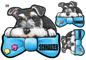 ViEU[ 38  XebJ[ ViEU[  ObY G V[ Ԃɓ\  XebJ[ ̃XebJ[ ~j`AViEU[ ԃXebJ[  XebJ[ ViEU[ G 