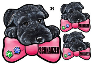 ViEU[ 39  XebJ[ ViEU[  ObY G V[ Ԃɓ\  XebJ[ ̃XebJ[ ~j`AViEU[ ԃXebJ[  XebJ[ ViEU[ G 