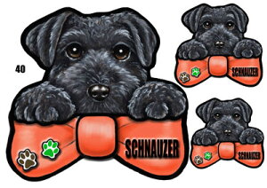 ViEU[ 40  XebJ[ ViEU[  ObY G V[ Ԃɓ\  XebJ[ ̃XebJ[ ~j`AViEU[ ԃXebJ[  XebJ[ ViEU[ G 