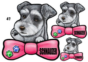 ViEU[ 47  XebJ[ ViEU[  ObY G V[ Ԃɓ\  XebJ[ ̃XebJ[ ~j`AViEU[ ԃXebJ[  XebJ[ ViEU[ G 