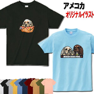  tVc fB[X  AJRbJ[XpjG  TVc  IWi Vc ObY ARJ G a I[i[ObY Y  I[_[Ch 킢 M