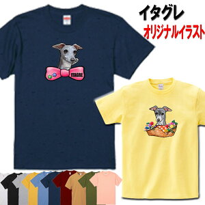  tVc fB[X  C^O C^AO[nEh   IWi Vc ObY G a I[i[ObY Y  I[_[Ch 킢 Mtg a