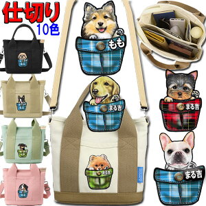  UobO V_[obO ybg{g  ֗  fB[X ł IWi UobO V_[ obO | ΂ߊ| ObY G {[_[R[ yLj