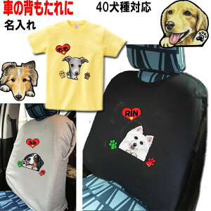  tVc fB[X   w Jo[   ObY G av[g Hc b㌢ L oZbgnEh _VA VFbhhV[v C^AO[n