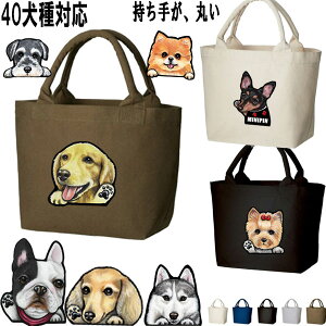 摜̂ ^  UobO fj ~jg[gobO S[fgo[ rVt[[ EFXeB  C^O L ObY G U ΂ Jo  킢 Uob