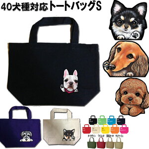 1000~|bL 摜̂  UobO ` gCv[h t`uhbO Č _bNXth R[M[ V[Y[ ViEU[ |jA ObY G  U Uo