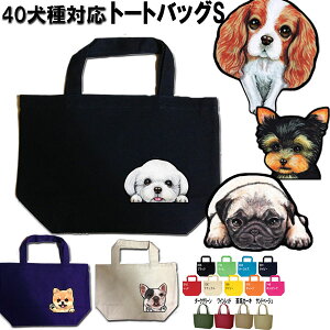 1000~|bL 摜̂  UobO  ObY G obO |jA LoA R[M[ pO }`[Y pOObY  yLj[Y WbNbZeA av[g 