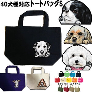 1000~|bL 摜̂ UobO  ObY G UobO av[g VFp[h Xsbc o[j[Y}EehbO AJRbJ[XpjG S[fgo[