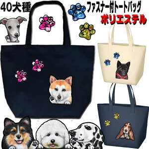 t@Xi[ g[gobO  ObY G av[g VFp[h Xsbc o[j[Y}EehbO AJRbJ[XpjG S[fgo[ ~js zCge