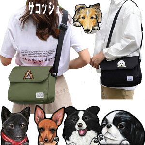 TRbV V_[obO UobO  V_[ UobO ObY G av[g  Hc b㌢ L oZbgnEh _VA VFbhhV[v C^A